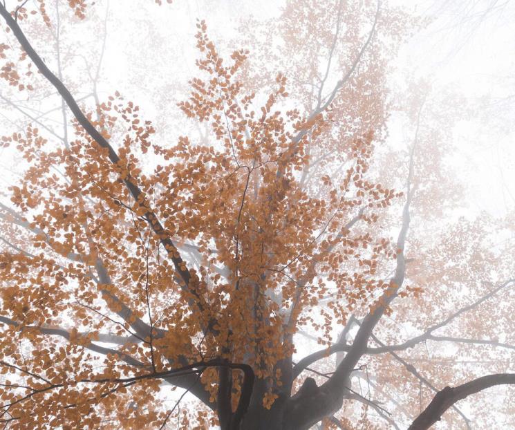 Equinoccio de otoño: ¿a qué hora es el cambio de estación este lunes Equinoccio de otoño: ¿a qué hora es el cambio de estación este lunes