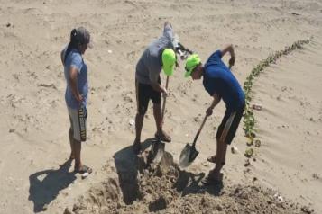 Detectan gripe aviar en gaviotas de playa de Tamaulipas
