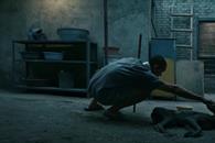 Llega a la Cineteca Nuevo León "Black Dog"
