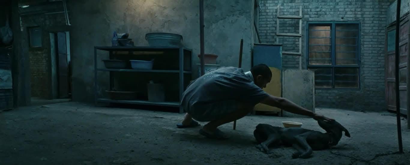 Llega a la Cineteca Nuevo León "Black Dog" Llega a la Cineteca Nuevo León "Black Dog"