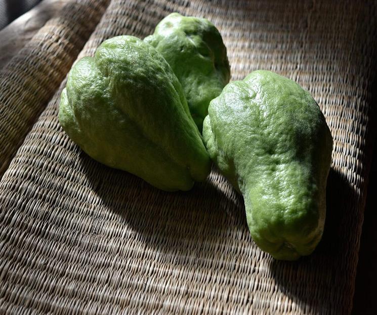 Cómo se hace la ensalada de chayote Cómo se hace la ensalada de chayote