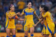 Quieren las Tigres seguir rugiendo desde arriba