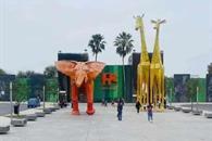 Cesan a coordinador de La Pastora por caso de osa enferma 