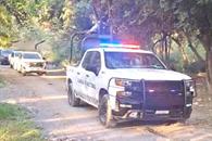 Trasladan a la osa Mina al estado de Hidalgo