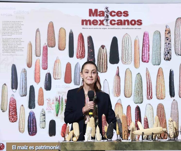 Sheinbaum contempla crear tortiller&iacute;as de ma&iacute;z nativo