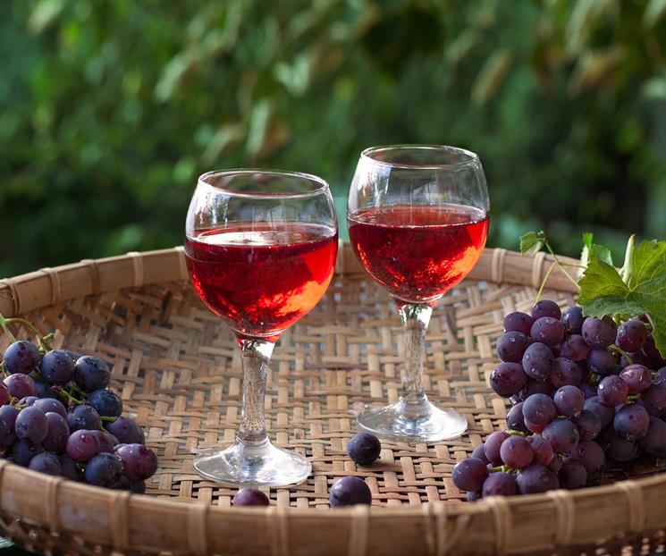Consejo Mexicano Vitivinícola se prepara para el Día del Vino Consejo Mexicano Vitivinícola se prepara para el Día del Vino