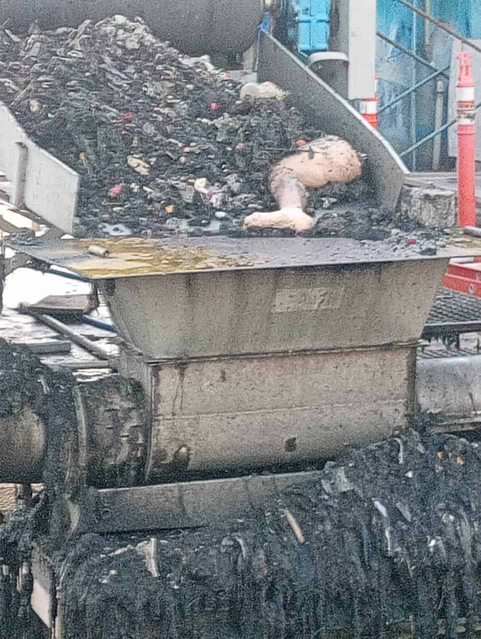 La Fiscalía de Justicia del Estado, inicio una investigación, para esclarecer el hallazgo de restos humanos, dentro de la planta tratadora de aguas residuales en el municipio de Pesquería.