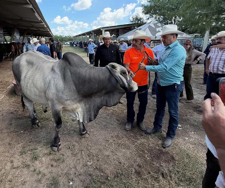 Inspeccionarán camiones con ganado para combatir gusano barrenador Inspeccionarán camiones con ganado para combatir gusano barrenador