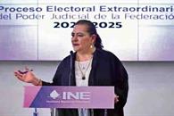 INE debe ser ajeno a los vaivenes políticos ante reforma: Taddei INE debe ser ajeno a los vaivenes políticos ante reforma: Taddei