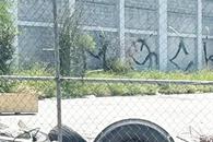 Hallan un cadáver en terreno de Guadalupe Hallan un cadáver en terreno de Guadalupe