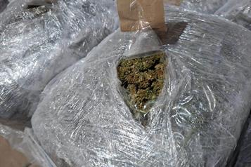 Decomisan 228 kilos de mariguana