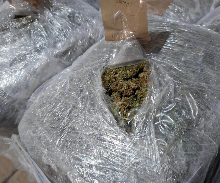 Decomisan 228 kilos de mariguana Decomisan 228 kilos de mariguana