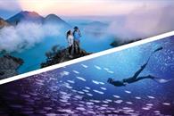 Photoshop y Premiere Elements 2026: salto mayor a la IA Photoshop y Premiere Elements 2026: salto mayor a la IA