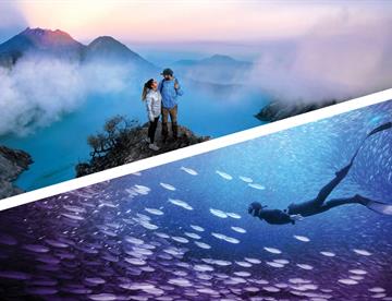 Photoshop y Premiere Elements 2026: salto mayor a la IA