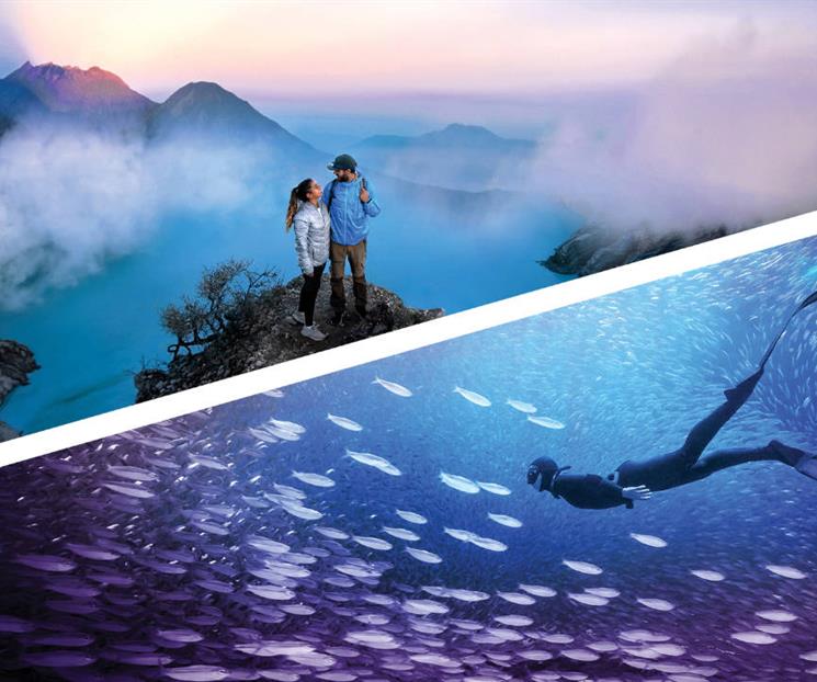 Photoshop y Premiere Elements 2026: salto mayor a la IA