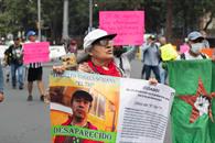 ONU concluye información sobre desapariciones en México