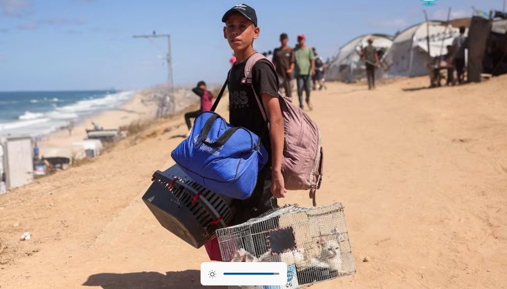 Embajadora asegura que iniciaron trabajos para traer niños a México Embajadora asegura que iniciaron trabajos para traer niños a México