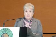 "Incumple Tren Maya 95% de medidas ambientales"