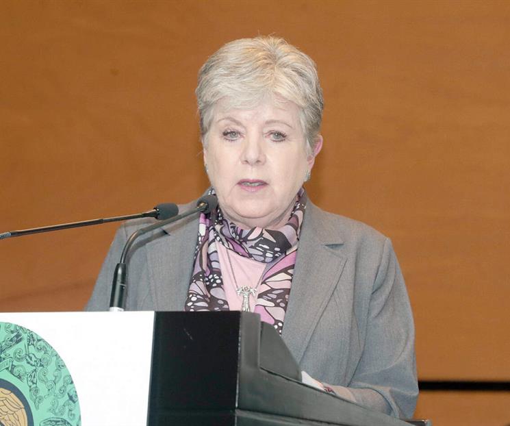 "Incumple Tren Maya 95% de medidas ambientales"