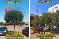 Pide RE que estacionamientos de centros comerciales sean arborizados Pide RE que estacionamientos de centros comerciales sean arborizados