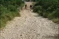 Asesinan a mujer e intentan prenderle fuego a cuerpo en Montemorelos Asesinan a mujer e intentan prenderle fuego a cuerpo en Montemorelos