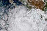 Retrocede a categoría 1 Priscilla Retrocede a categoría 1 Priscilla