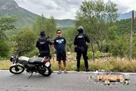 Arrastra perro muerto con su moto Arrastra perro muerto con su moto