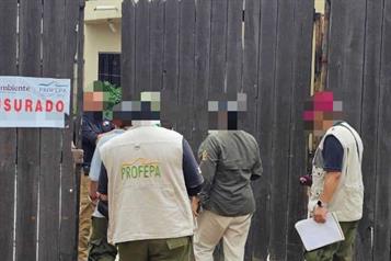 Entra Profepa a La Pastora a verificar condiciones de animales