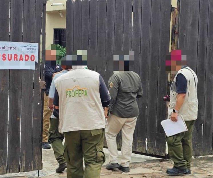 Entra Profepa a La Pastora a verificar condiciones de animales