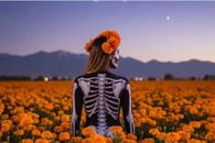 Fechas para La Catrina en Trajinera en Xochimilco Fechas para La Catrina en Trajinera en Xochimilco