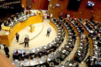 Piden investigar adjudicaciones directas en el STE