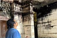 Damnificados de Poza Rica denuncian presencia de chapopote