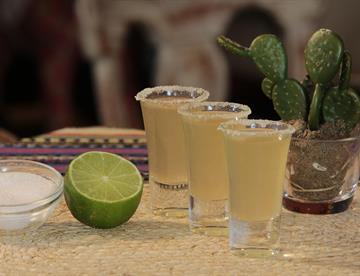 Lánzate a probar el Tequila de Los Altos de Jalisco