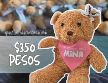 Lanzan campaña en apoyo a la osa Mina