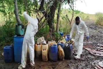 Decomisan drogas y armas en seis estados