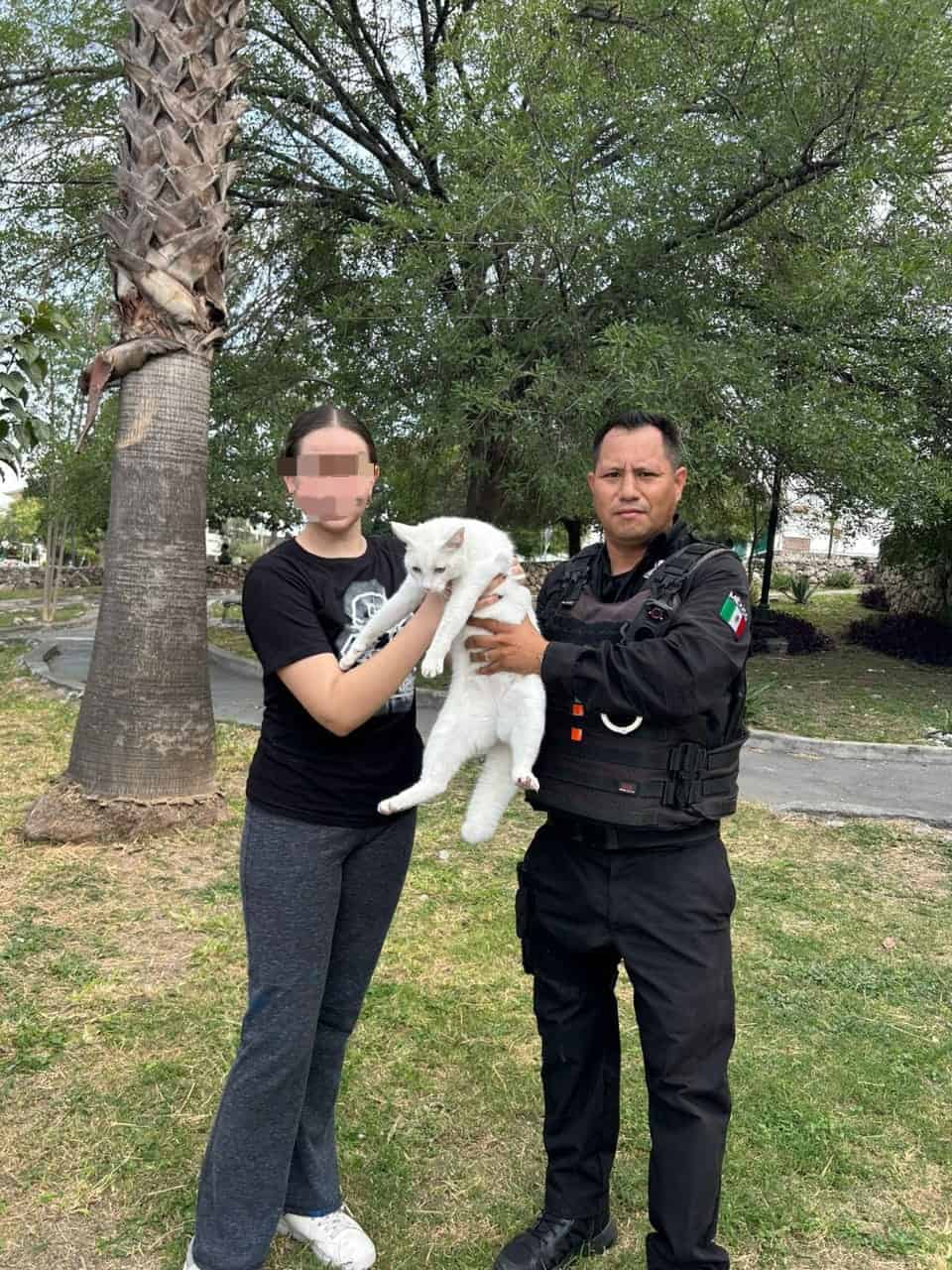 Cuando se encontraba en lo alto de un árbol y no podía bajar, un gato fue rescatado por oficiales de la Policía de Monterrey, en la colonia Cumbres Elite, séptimo sector.