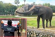 Reabre el Zoológico La Pastora tras clausura por Profepa