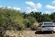 Buscan a desaparecido en región citrícola