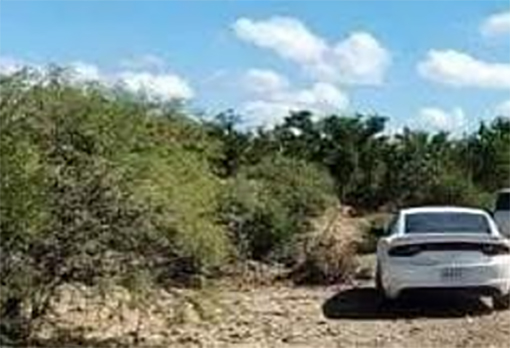Buscan a desaparecido en región citrícola
