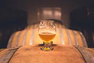 Cerveza artesanal, opción de emprendimiento para jóvenes Cerveza artesanal, opción de emprendimiento para jóvenes