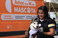 Invita Gpe a consulta para nuevo reglamento de protección animal Invita Gpe a consulta para nuevo reglamento de protección animal