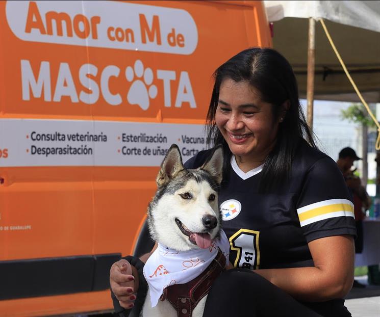 Invita Gpe a consulta para nuevo reglamento de protección animal Invita Gpe a consulta para nuevo reglamento de protección animal