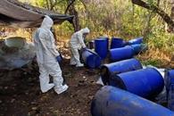 SSPC asegura drogas en Sinaloa SSPC asegura drogas en Sinaloa