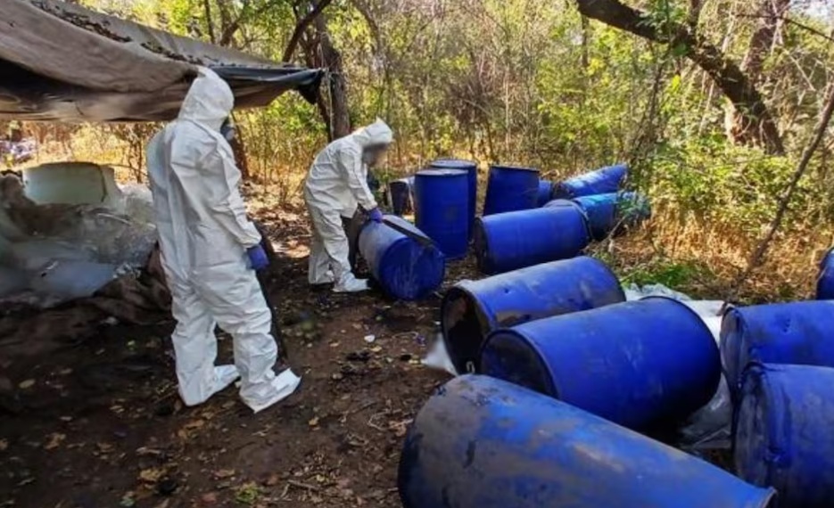 SSPC asegura drogas en Sinaloa SSPC asegura drogas en Sinaloa