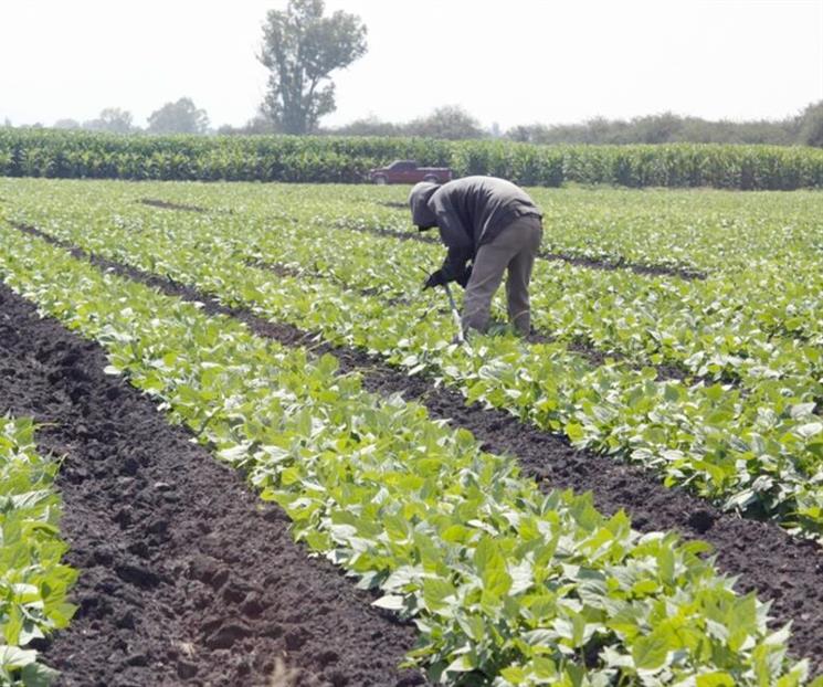 Piden frenar la violencia hacia los productores del campo Piden frenar la violencia hacia los productores del campo