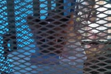 Buscan a dueños de león rescatado en un domicilio de Juárez