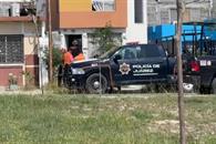 Descubren león en vivienda Descubren león en vivienda