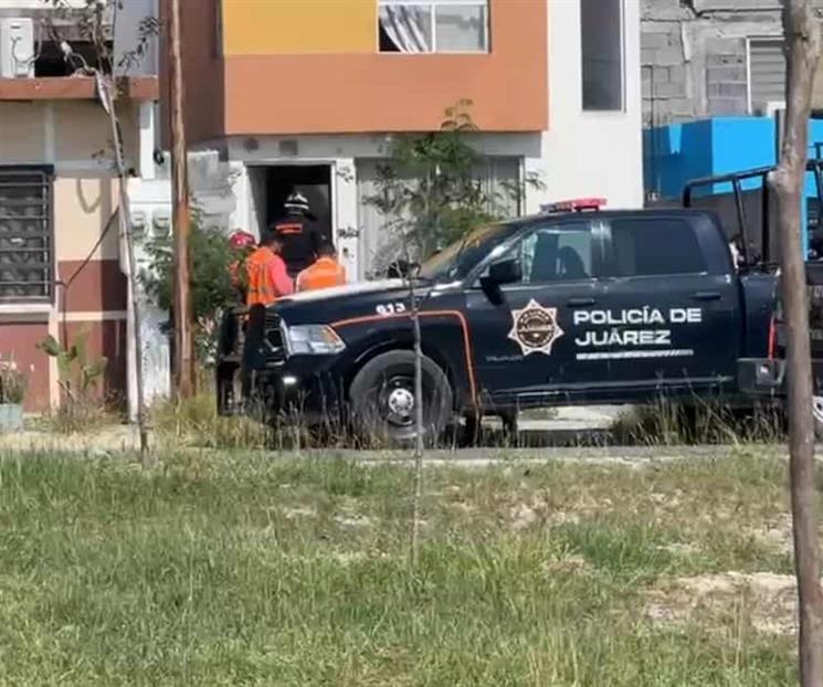 Descubren león en vivienda Descubren león en vivienda