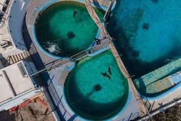 Clausura Profepa Acuario de Veracruz