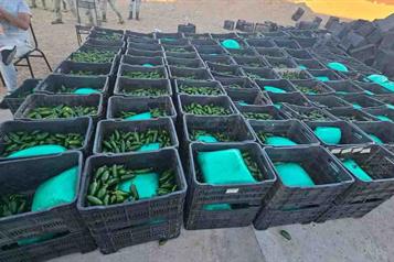 Asegura Ejército una tonelada de metanfetamina escondida